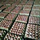 方城赵河，快乐人生