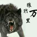 狼行万里