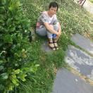 王伍妹