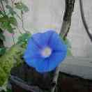 马桶盖蹲坑盖板-生产厂家