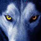 以身入局，胜天半子