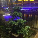 老二一㇏、w一00