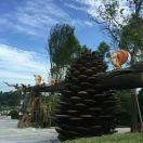 似曾相识园林景观工程