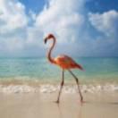 海的🐠🐠天空🌺🌺