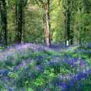 人生短暂珍惜一切