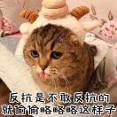 三文鱼