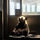 仿生人睡不着会数电子羊吗