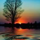 我的幸福-重头再来