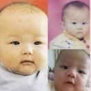 冰心＊拙园园主