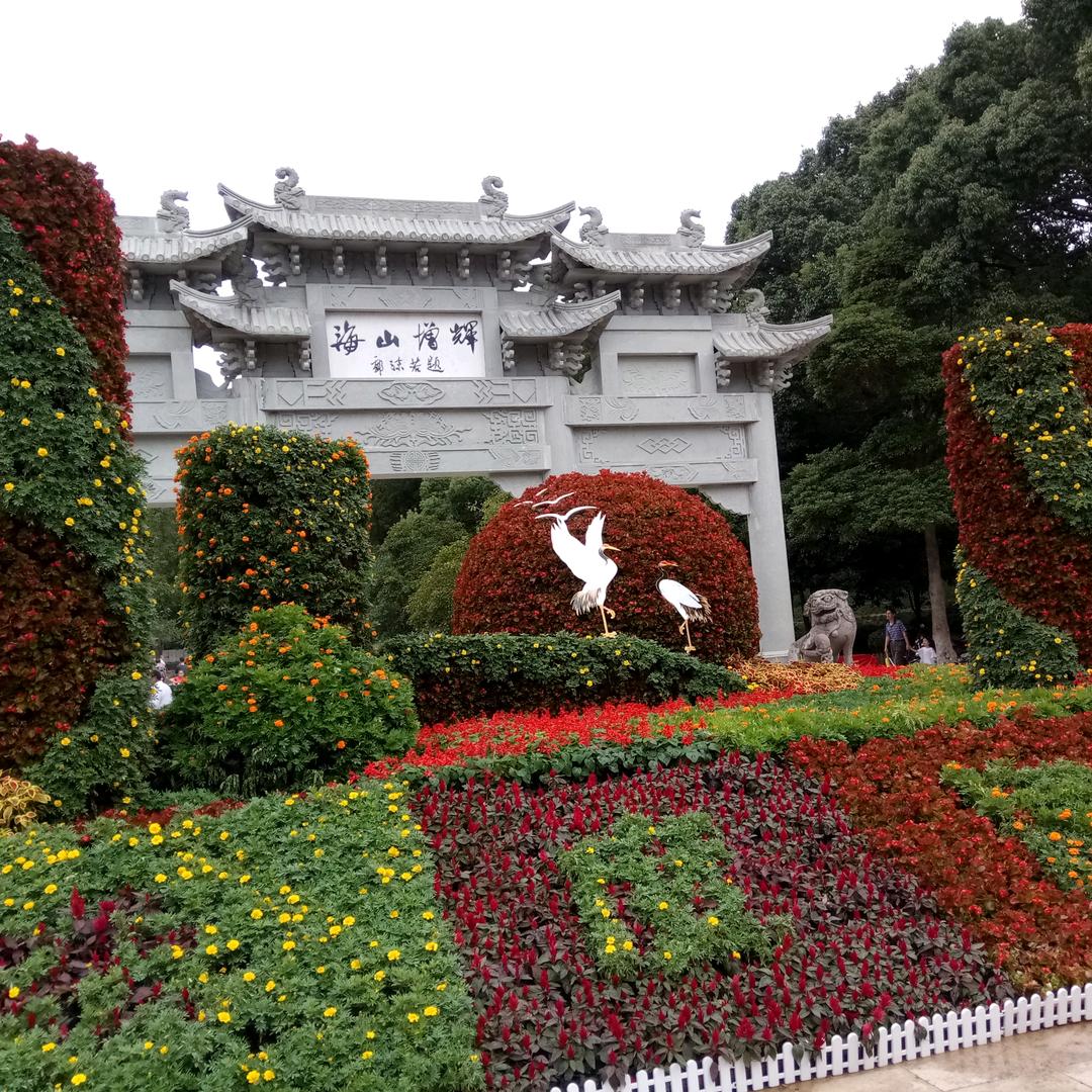 zqp每天都有好心情