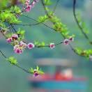 开开心心每一天