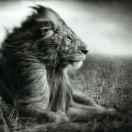 云山之巅🧞‍♀️