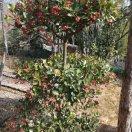 平平淡淡，快快乐乐