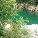 黄山西大门红太阳美食人家