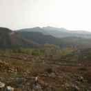 岁月静好度年华