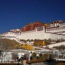 左岸～虚度光阴