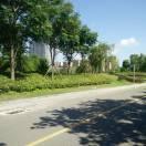 明光市石坝（扁哥）