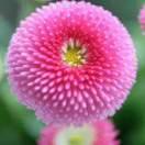 。。。潇洒走一回