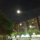 无敌最俊朗✔头像