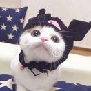 心有猛虎