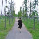 阳光