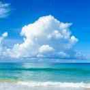 奋斗的人🍀 ᴺ⁷