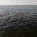 ✧*。٩(ˊωˋ*)و✧*。陈蒙候爱(￣