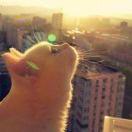 小眼睛.弯月亮……