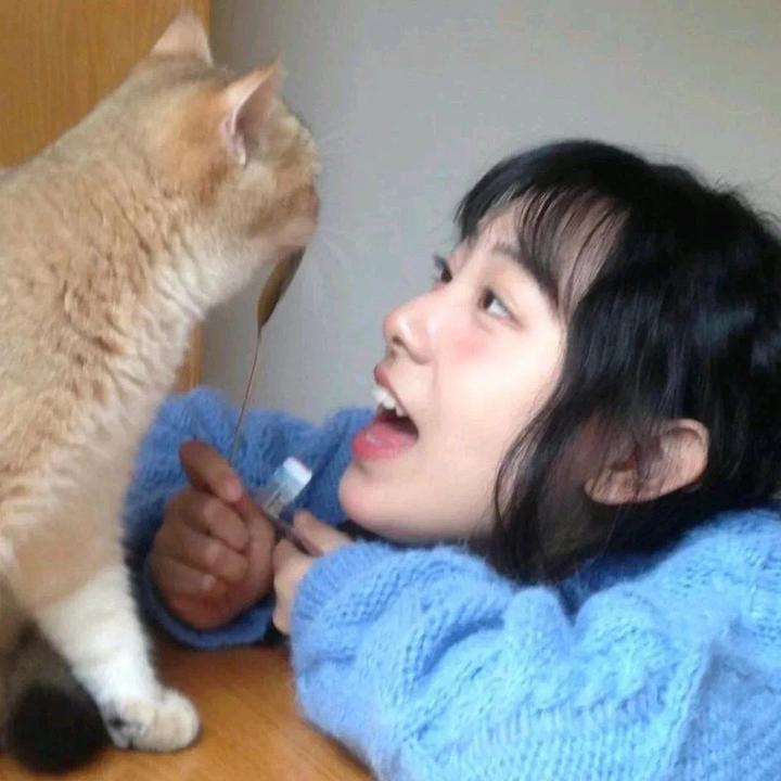 糕糕糕糕