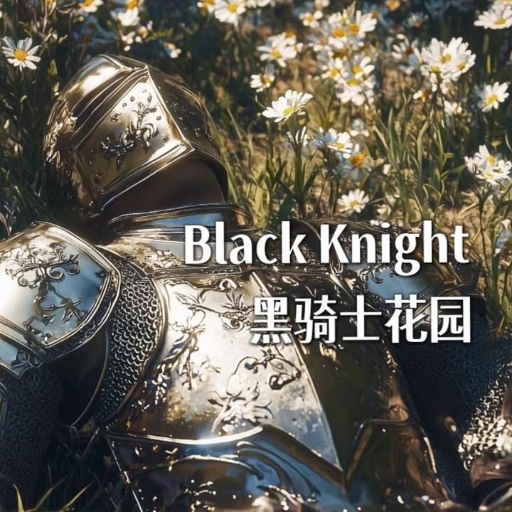 黑骑士花园Blackknight