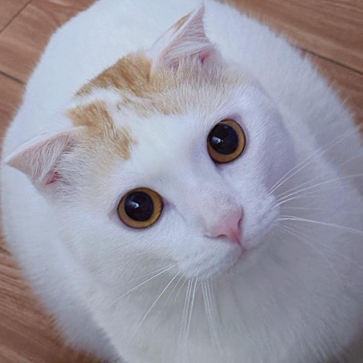 番茄爱炒蛋🍅
