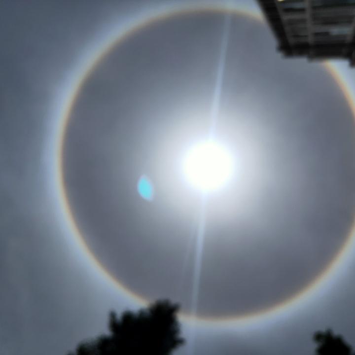 糊涂人