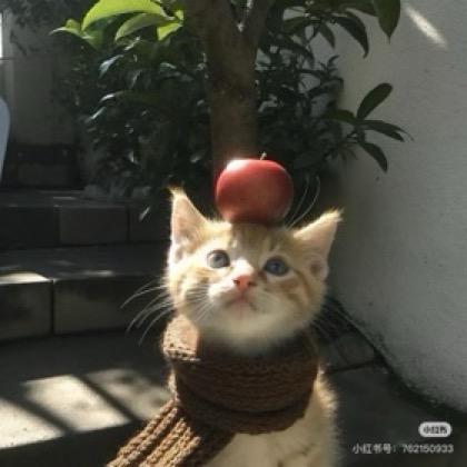 晚柠