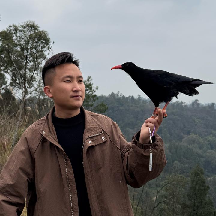 丫丫乐（鸦科养殖繁育场）