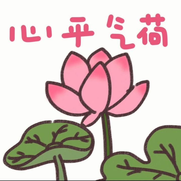 贞贞666肾综17年纯中偶尔停药中~