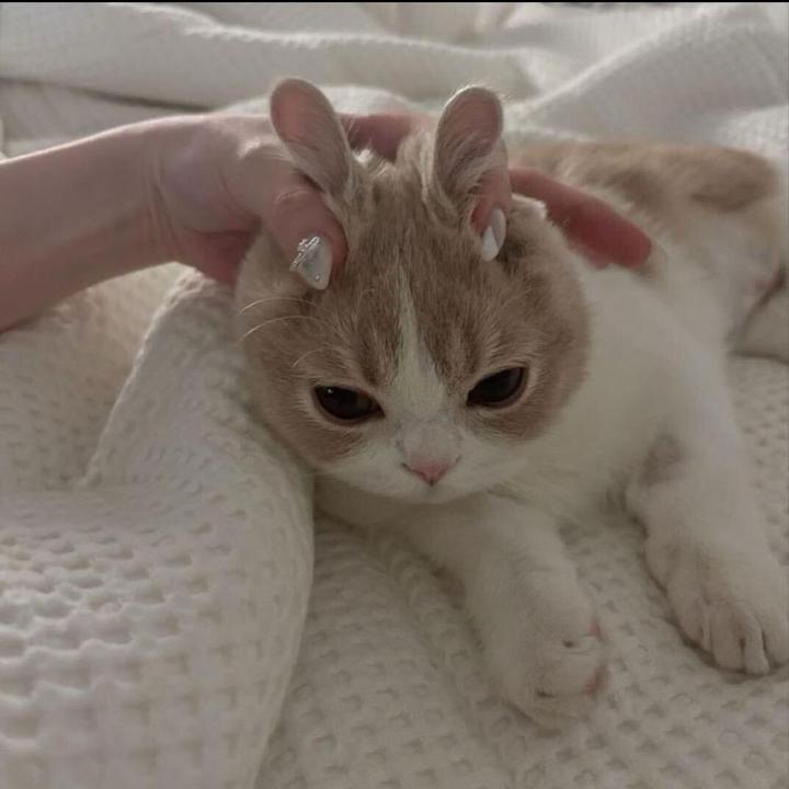 w v