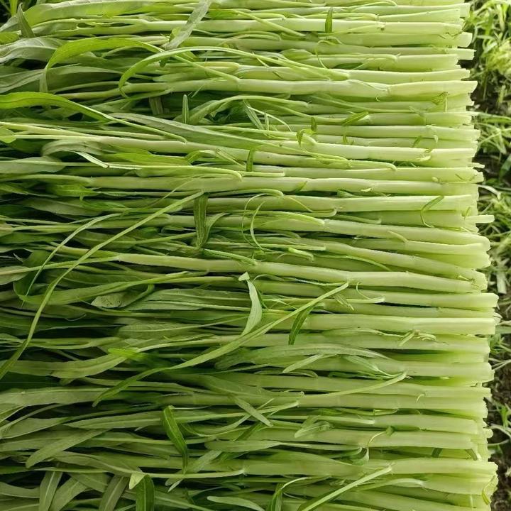 阿云的田园生活