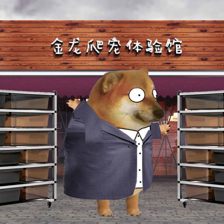 苦力怕爬宠（破2000送蛇）