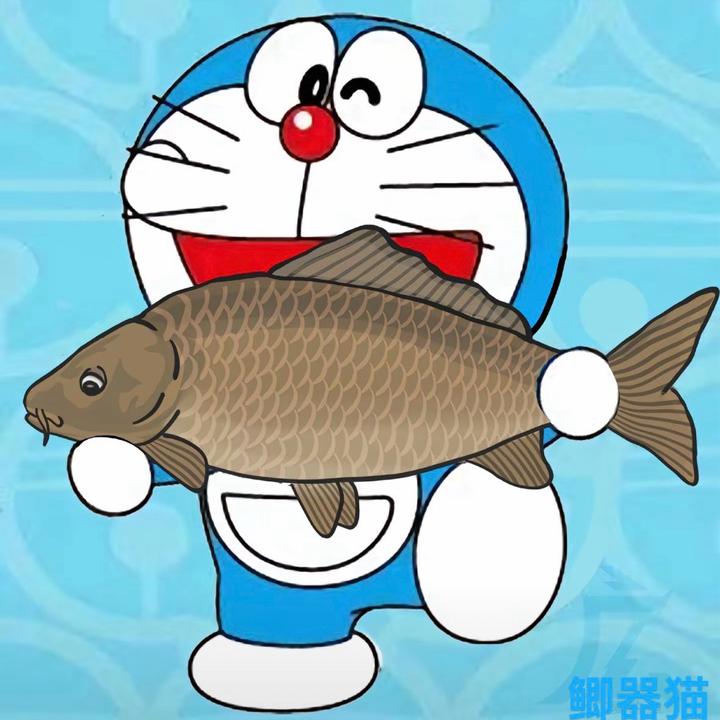 钓鱼−鲫器猫（孔桥渔具）