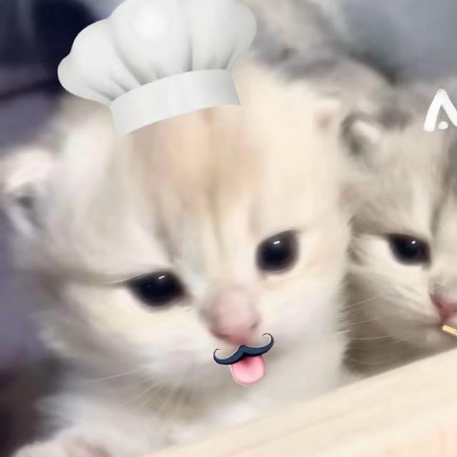用户0717