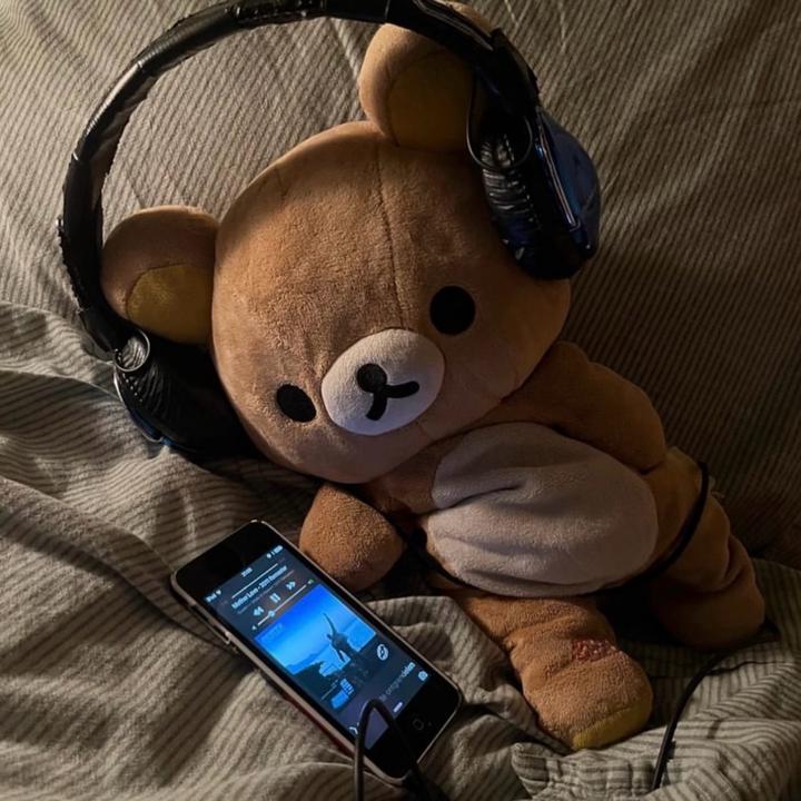 伯乐遇良音 ✦ Music （互秒回）