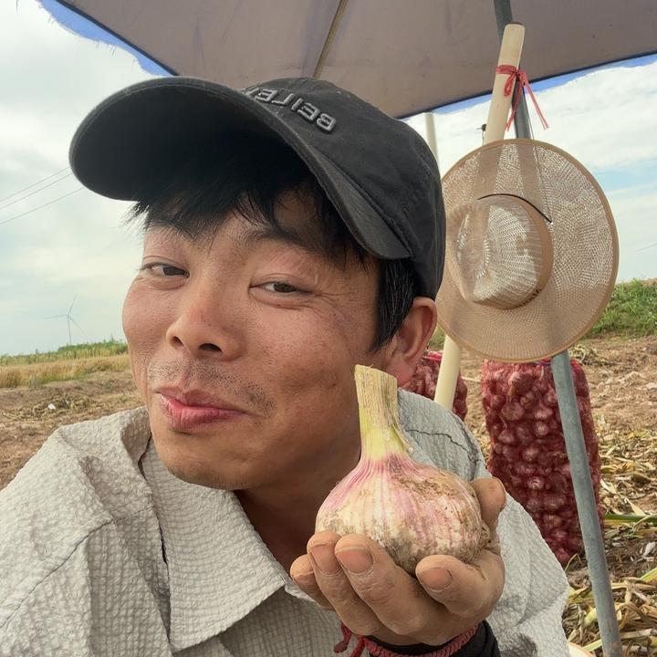 铁蛋