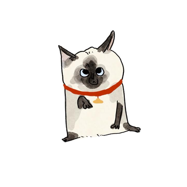 咕咕猫头鸟