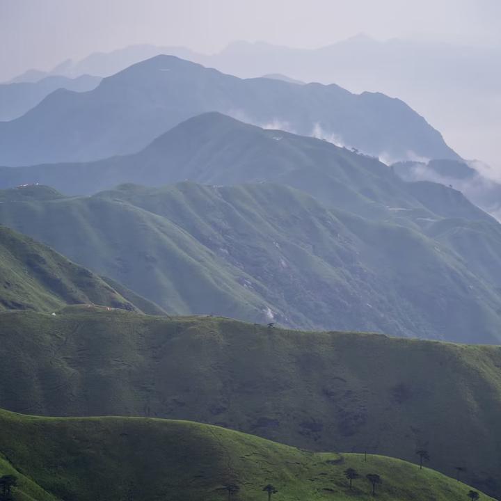 曾经沧海难为水