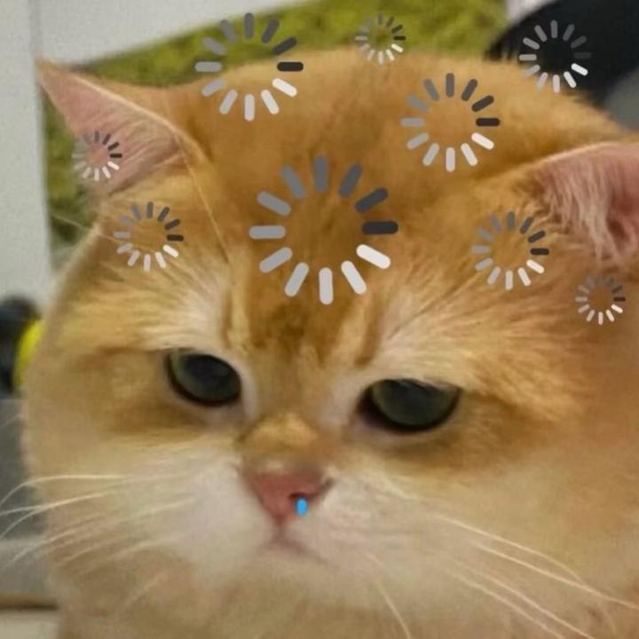 王小帅.