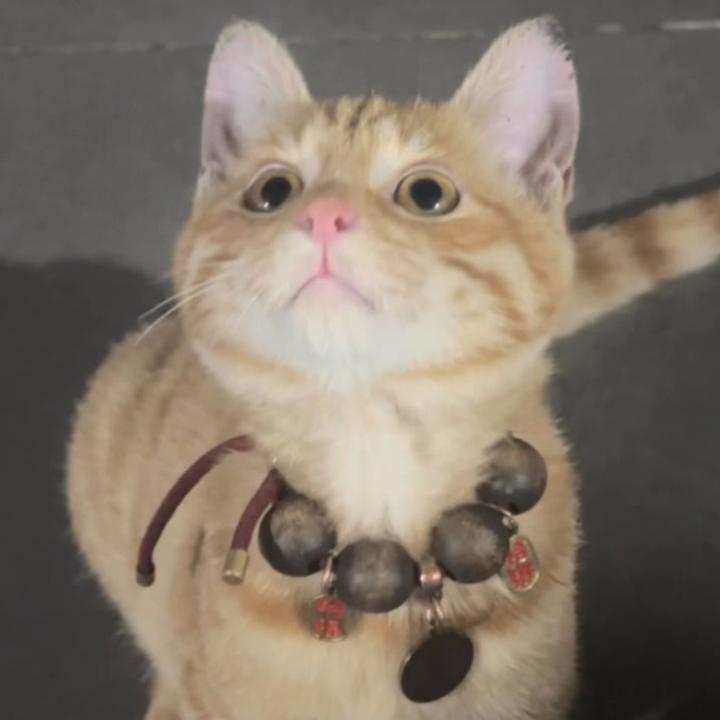 金元宝