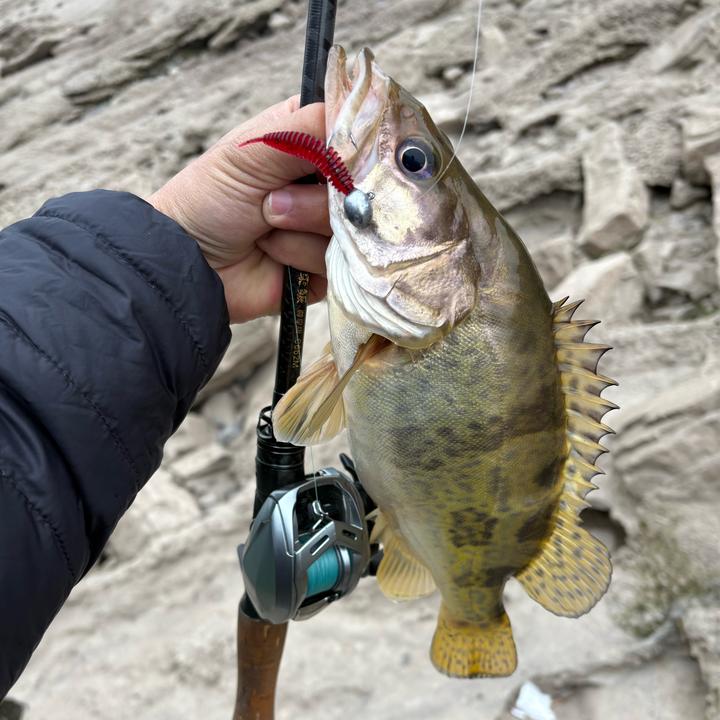 月庆Lure