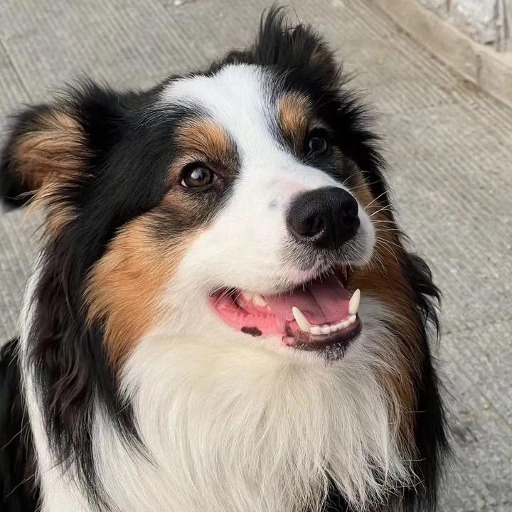 美式咖啡