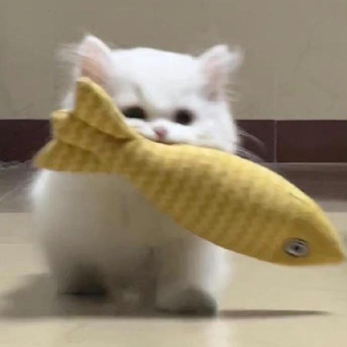 我不是奥利奥