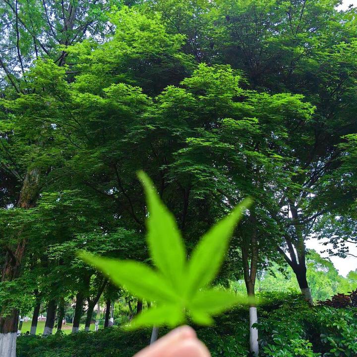 瘾